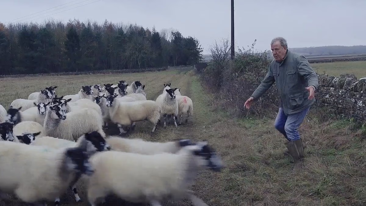 Jeremy Clarkson has 11 sheep stolen from his Diddly Squat farm