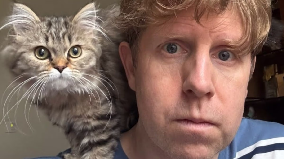 Josh Widdicombe announces his kitten Fluffball has died in hit and run