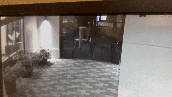 Man scales locked gate in chilling video after allegedly chasing college student home, then walks free: police