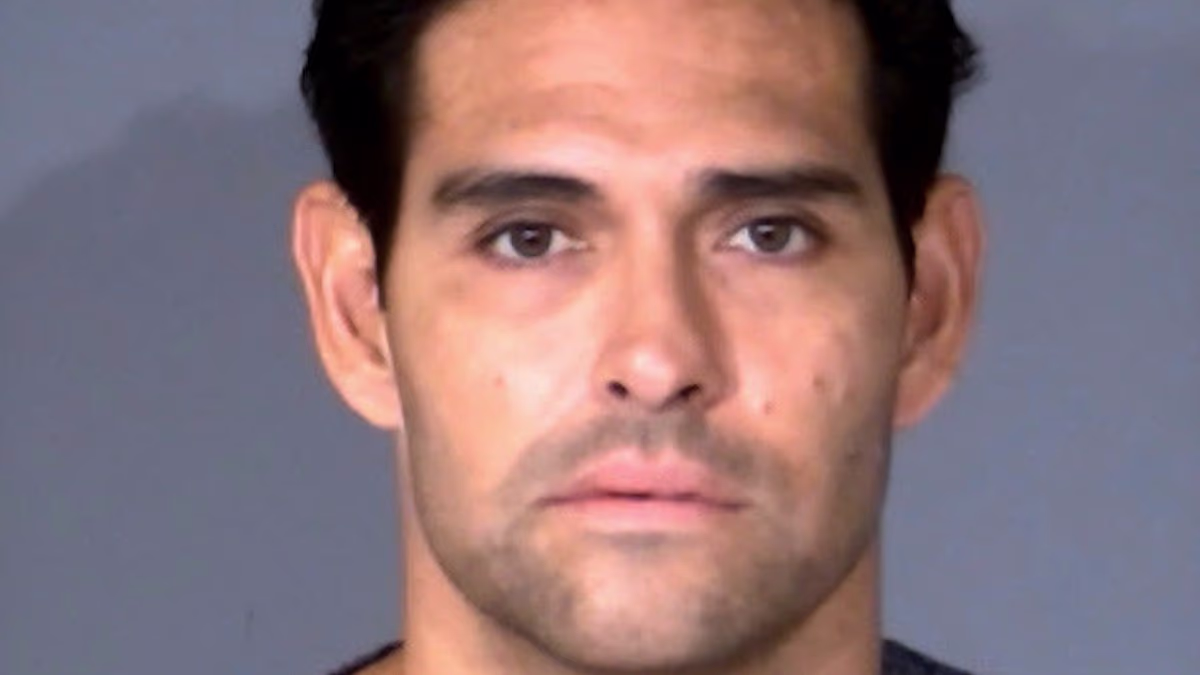 Mark Sanchez files guilty plea as ex-NFL QB faces sentencing for brawl