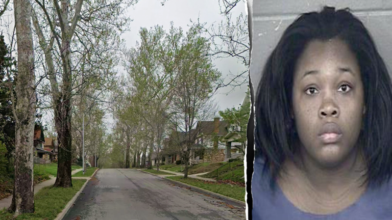 Murder Charge Dropped Against Missouri Mom in Newborn Oven Case