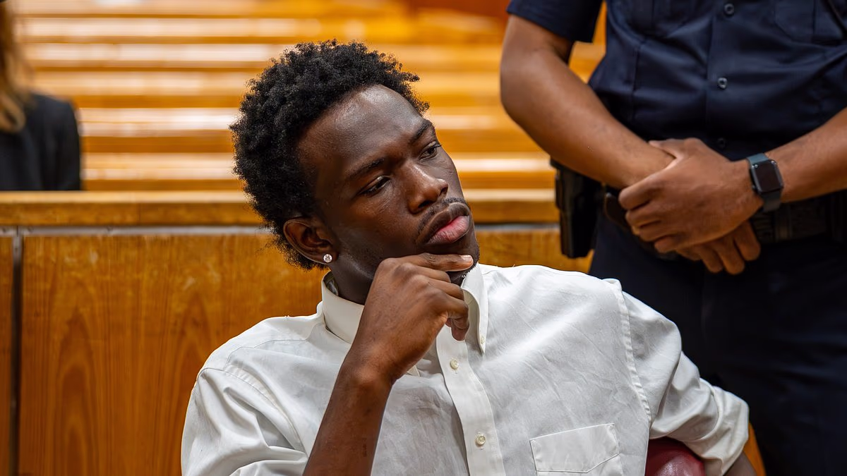 Model struts out of court as he's charged with stealing $1m of clothes