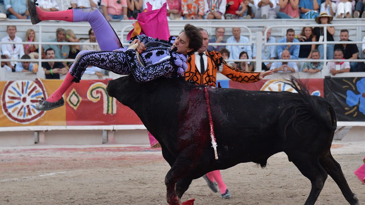 Moment 'Messi of matadors' is tossed around between bull's horns