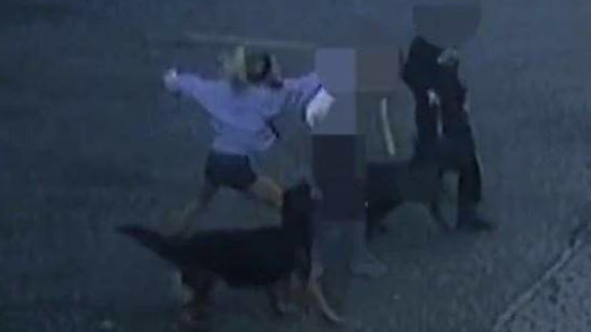 Moment woman punches dog walker in the face before spitting at her
