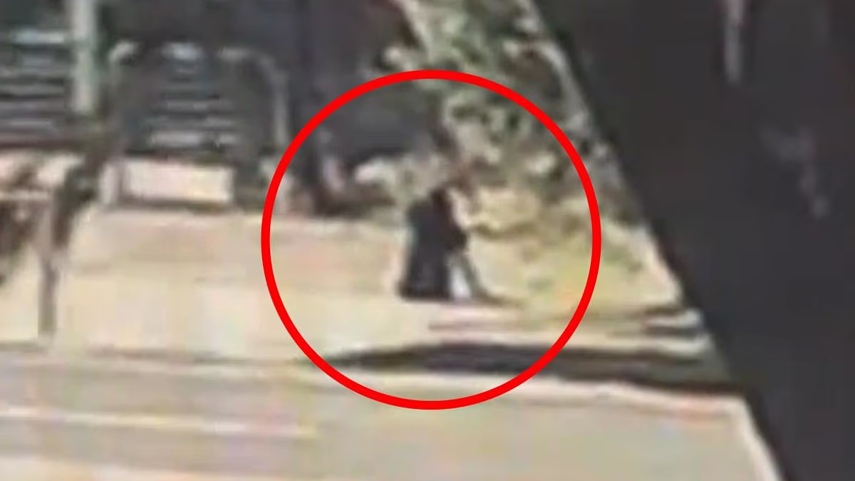 Mother of toddler who was struck and killed by a car speaks out
