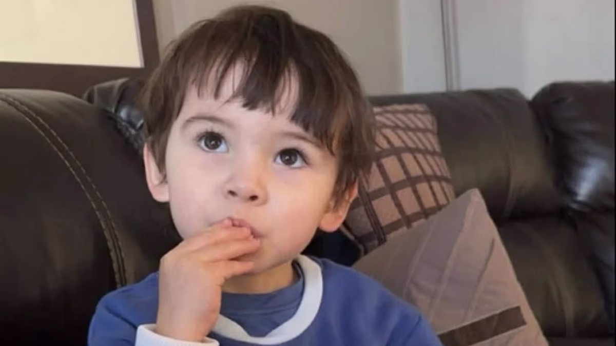 Mother's anguish as driver who killed her son, 2, will not be charged