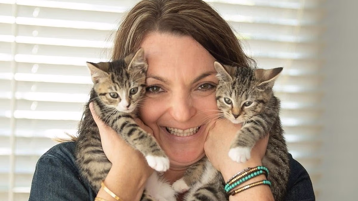 NYC kitten rescue says MAGA voters are BANNED from adopting from them