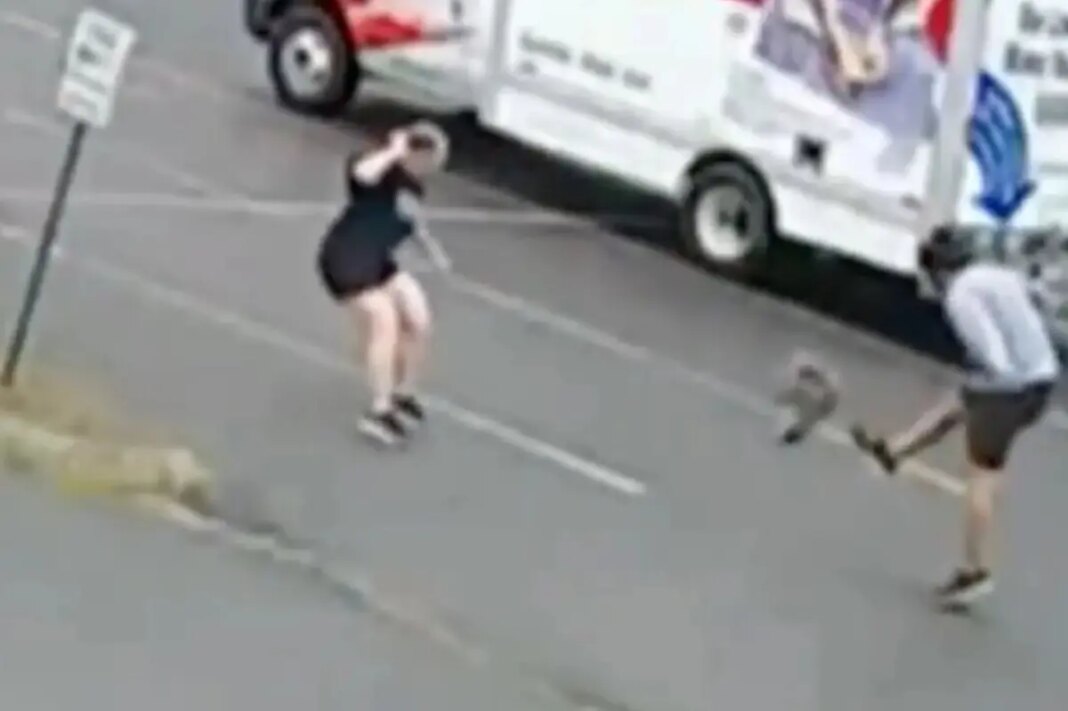 New Hampshire neighborhood terrorized by aggressive wild animal after three attacks, police on lookout
