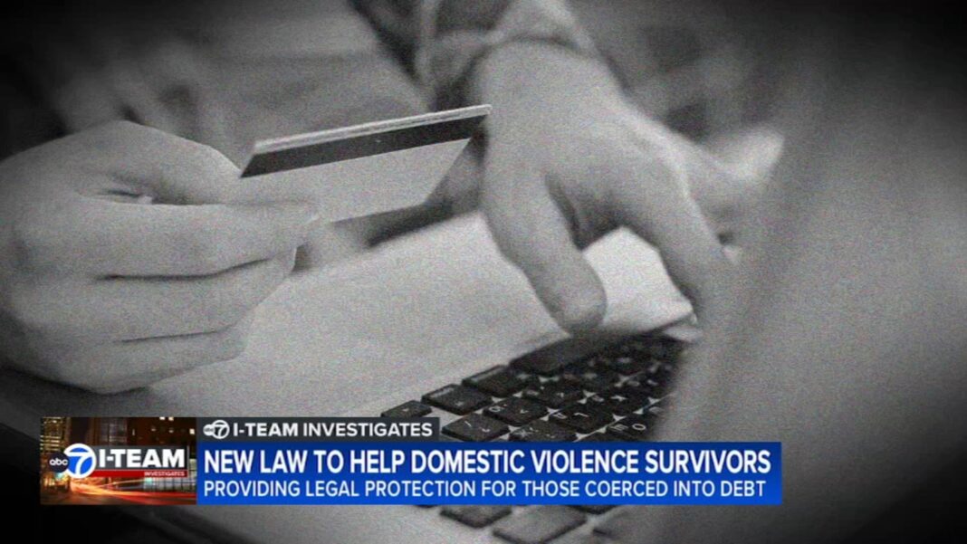 New bipartisan Illinois law will help domestic violence survivors with financial hardships, coercive control, abuse
