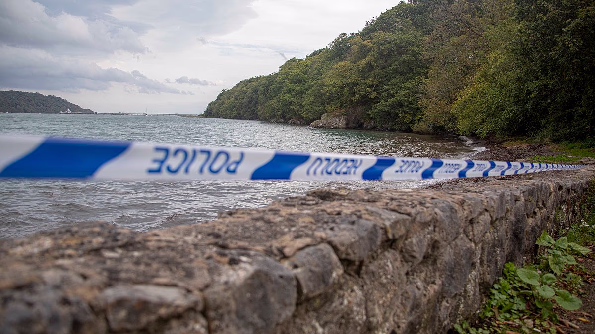 Newborn baby is found dead on a beach in North Wales
