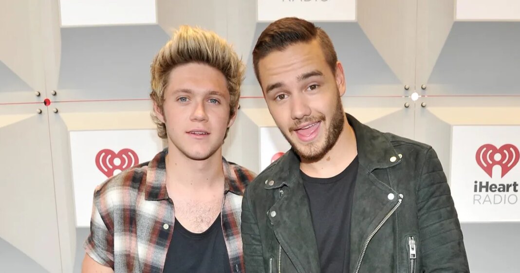Niall Horan Plays Voice of Late One Direction Bandmate Liam Payne at Concert