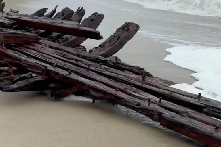 Nor’easter Exposes 19th-Century Shipwreck of Warren Sawyer on Nantucket