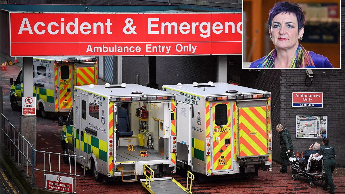 Now A&E crisis spreads to rest of NHS