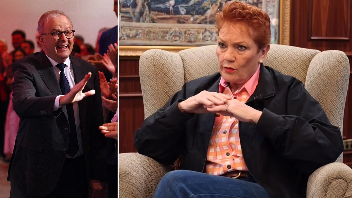 Pauline Hanson reveals theory that Albo is plotting 'big problem'