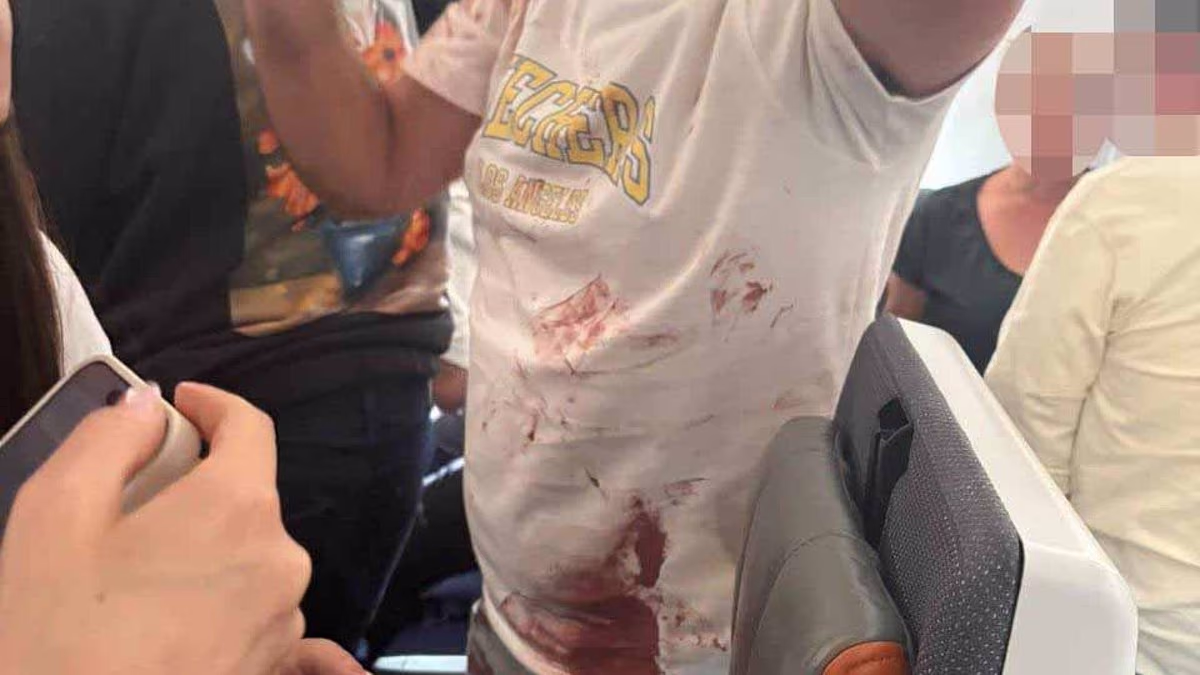 Pilot 'attacked co-pilot and tried to hijack flight to Tel Aviv'