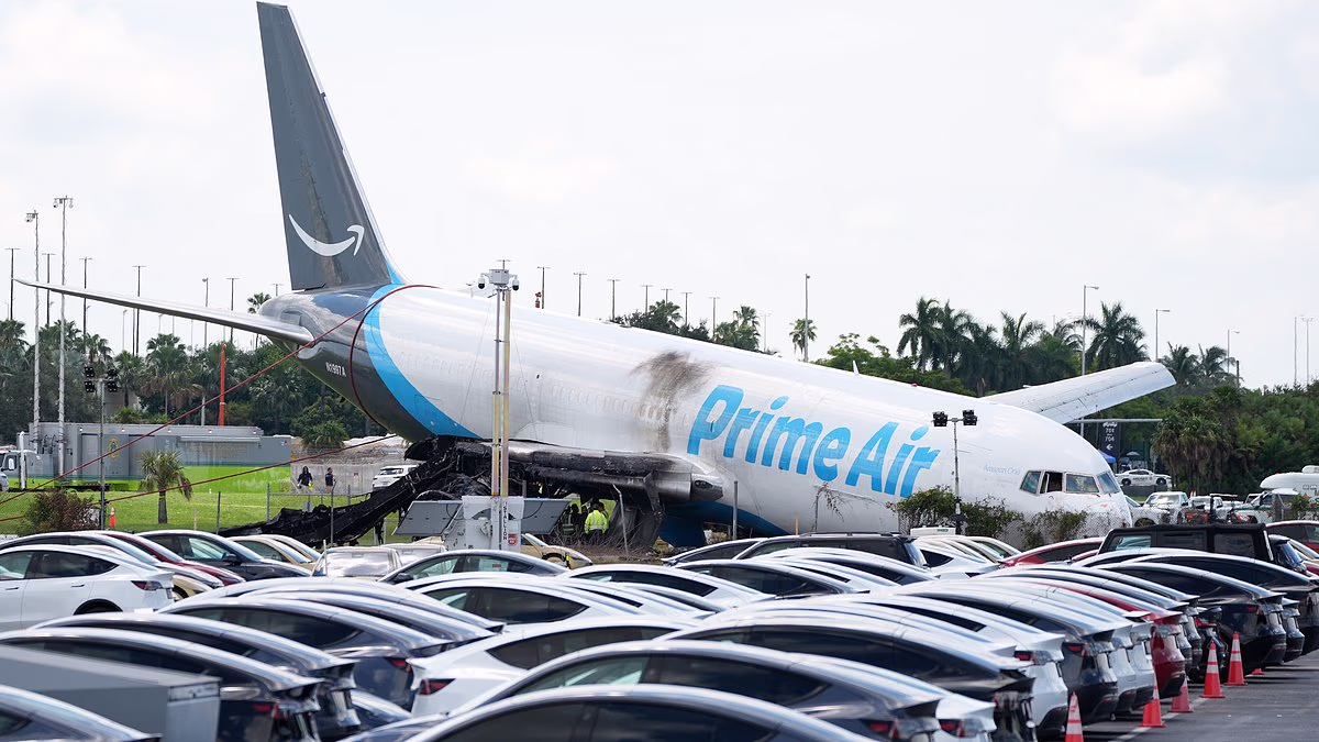Pilot warned Amazon plane was going TOO FAST before it overran runway