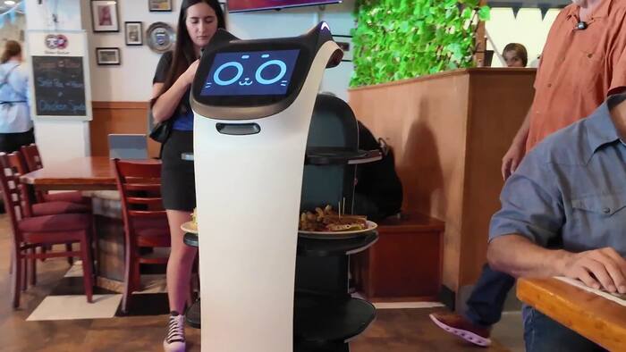Popular Sanford restaurant introduces Bella Bot: a new robotic food runner