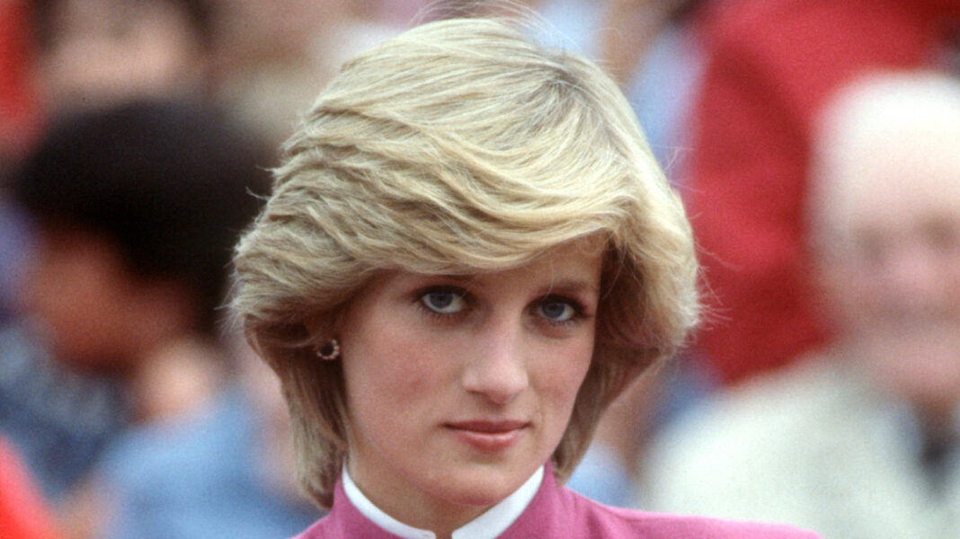 Princess Diana's Brother Paints A Sad Picture Of Her Inner Circle Before Her Death