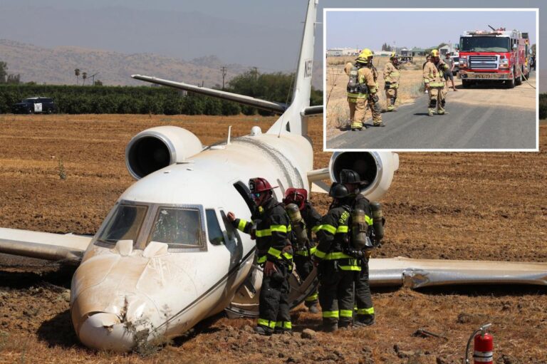 Private Jet Goes Down in Field Near Small California Airport