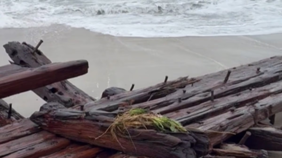 Relic from 142-year-old shipwreck washes ashore during nor'easter