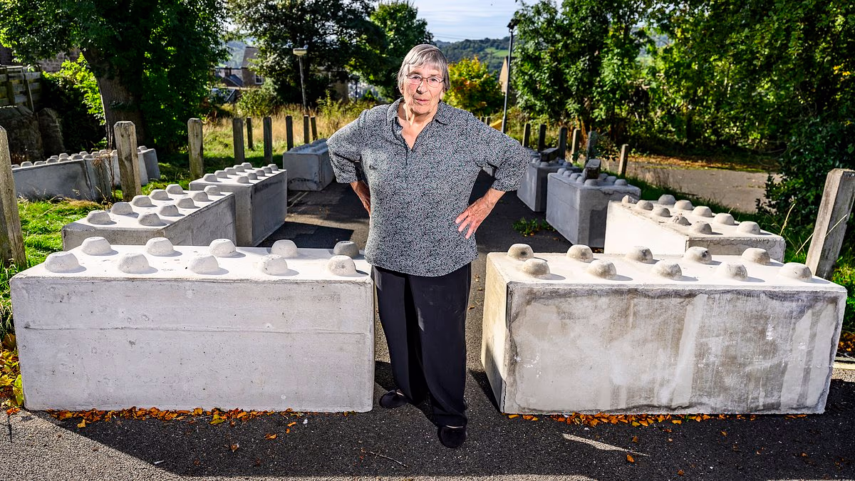 Retired teacher's three-year legal hell after council blocked gate