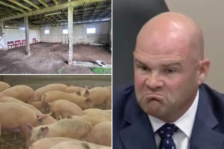 Sacramento County Slaughterhouse’s ‘Kill Floor’ Project Advances Despite Neighbor Opposition