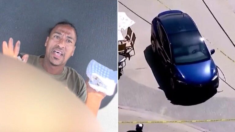 San Diego Bystanders Chase Suspected Tesla Thief After Woman Is Hit