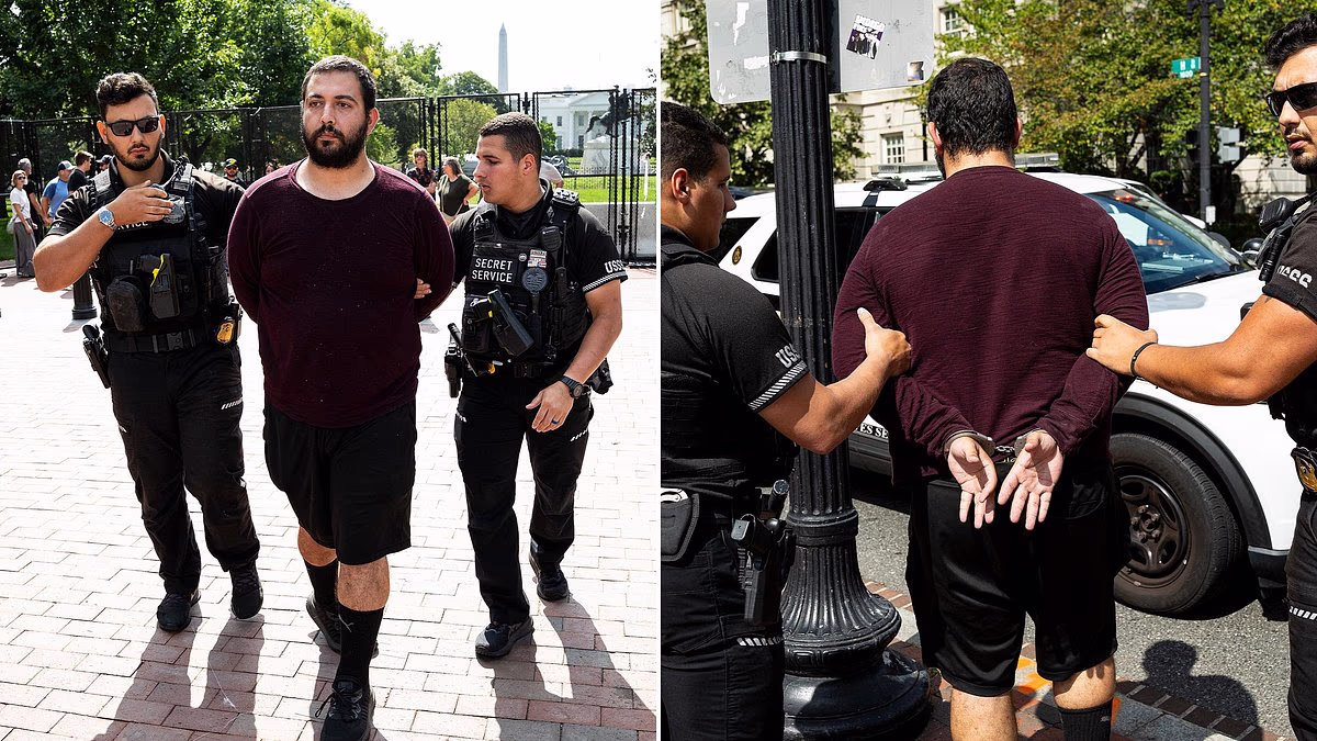 Security breach near White House after man drives onto sidewalk