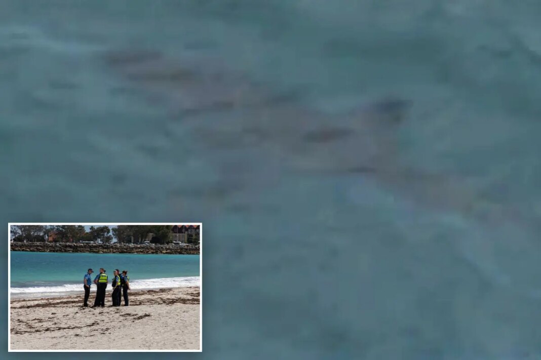 Shark kills swimmer off Australian beach as witnesses recall seeing 'pool of blood'