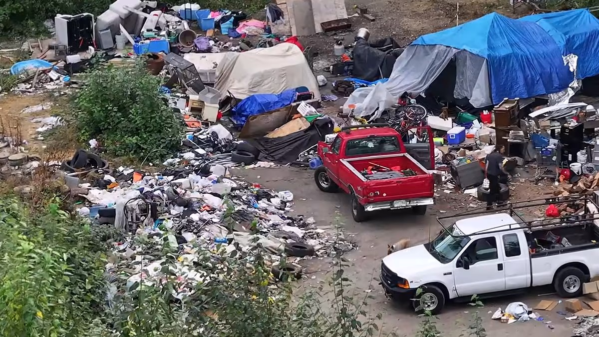 Squalid Seattle homeless shanty town has now grown to several ACRES