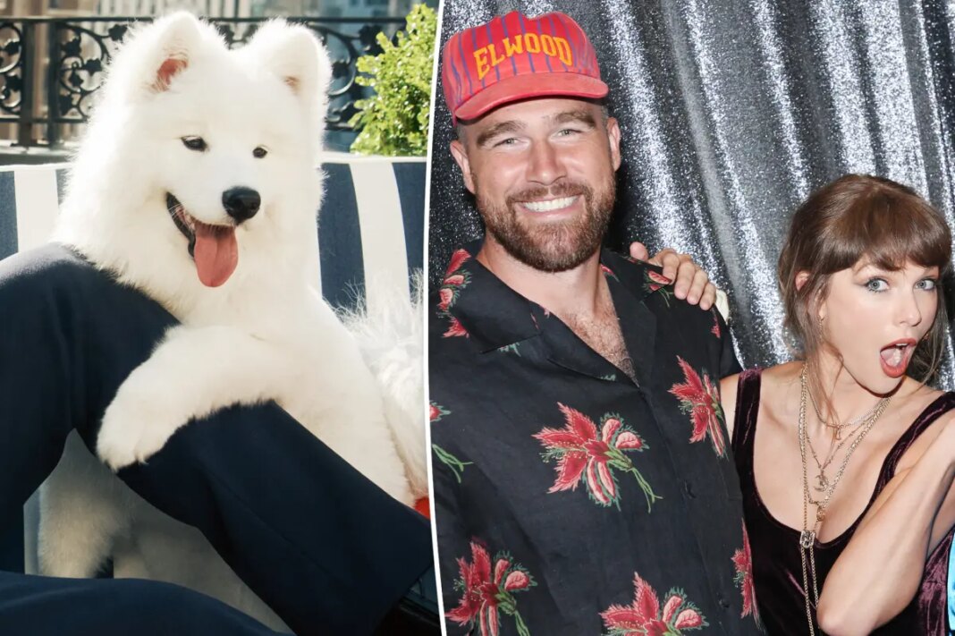 Taylor Swift and Travis Kelce's dog's name finally revealed