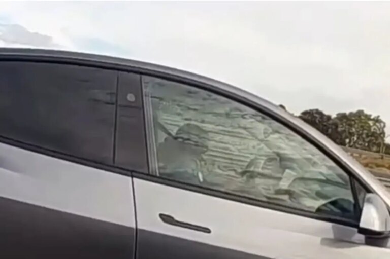 Tesla Driver Allegedly Caught Sleeping at 60 MPH on California Highway