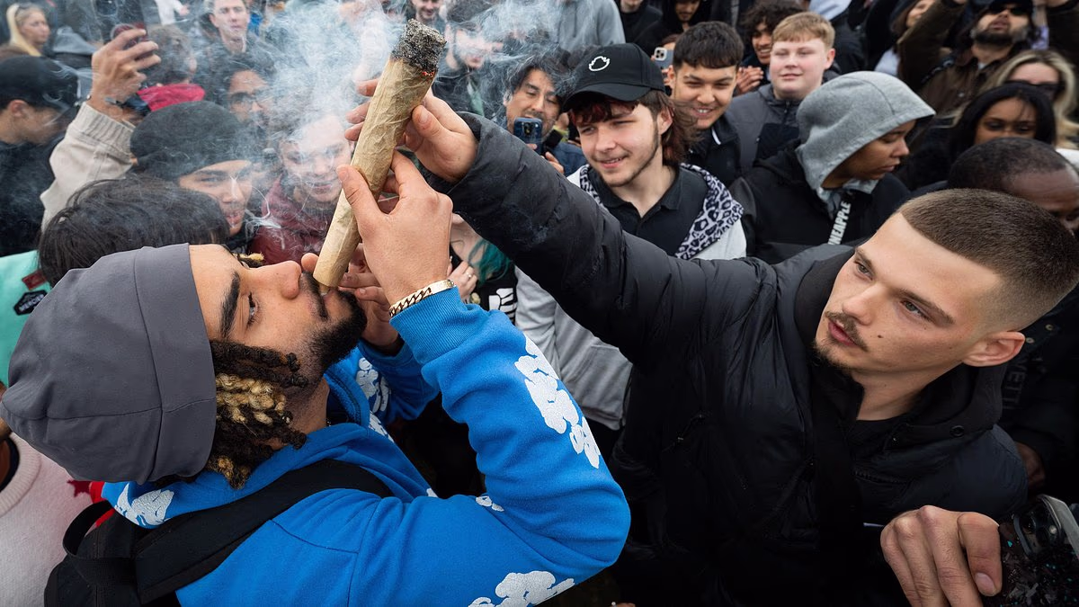 The police don't care why the country stinks of weed: PETER HITCHENS