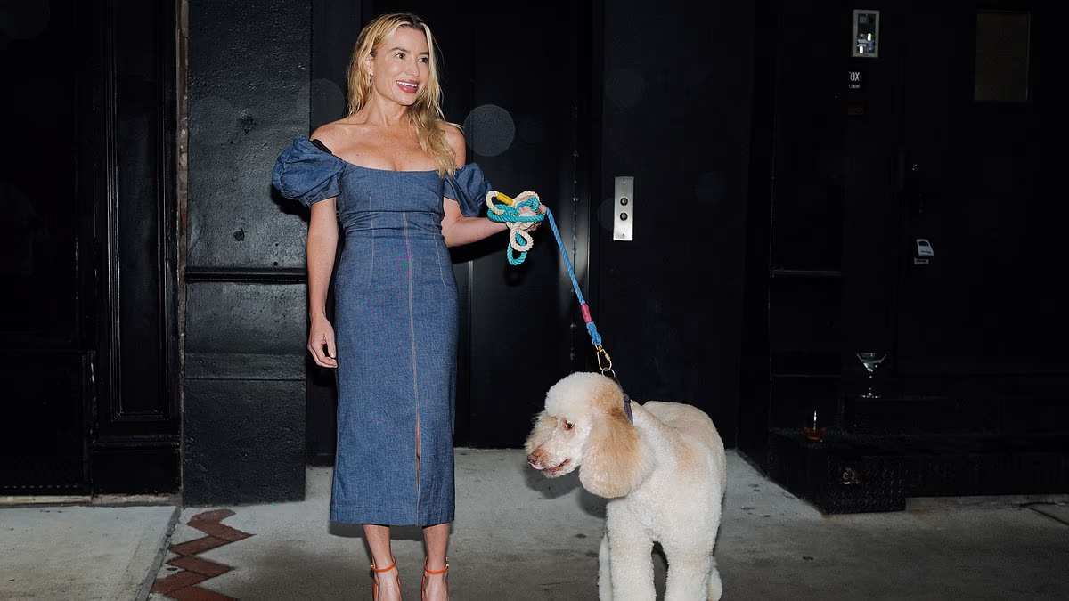 Tracy Anderson's poodles escape from Hamptons yard and attack neighbor