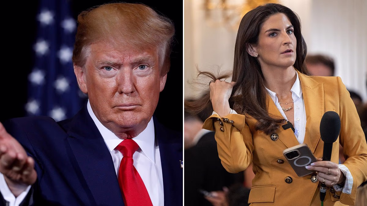 Trump boots CNN, MSNOW and Politico from White House in purge