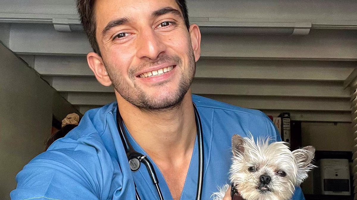 Vet urges pet owners to stop giving their dogs 'basic' human names