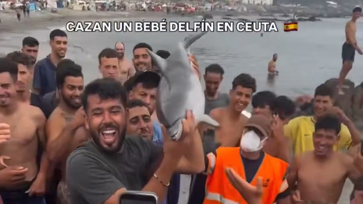 Welcome to the dystopian Spanish enclave of Ceuta