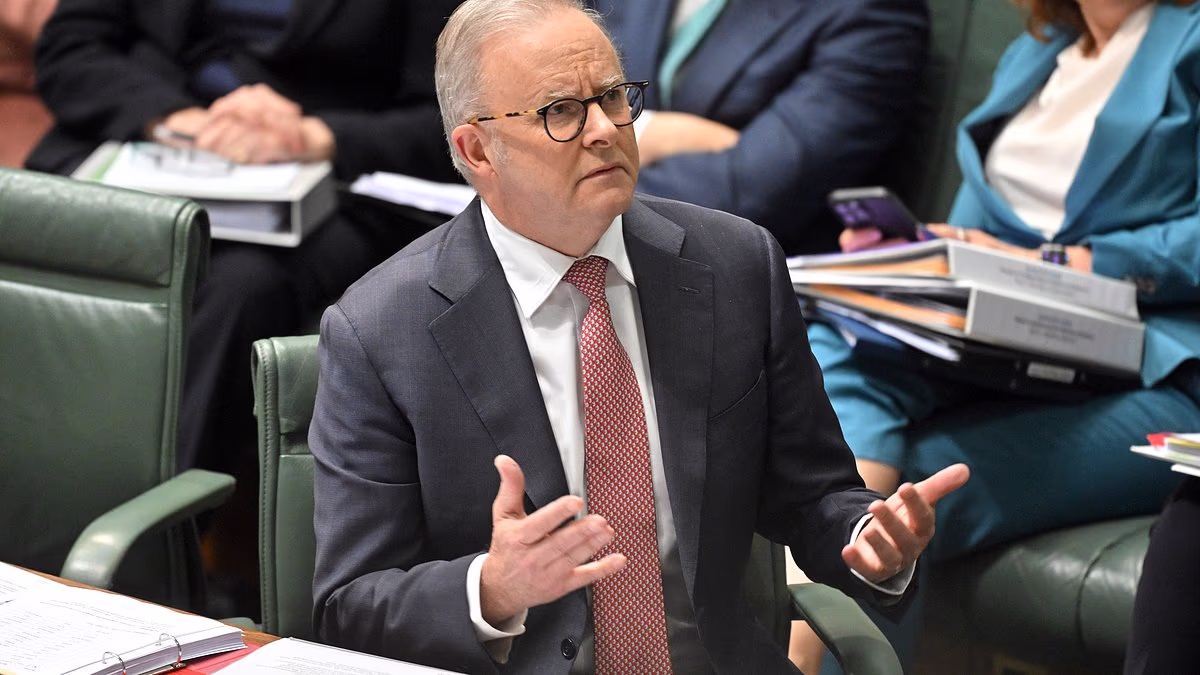 What you need to know about Anthony Albanese's migration crackdown
