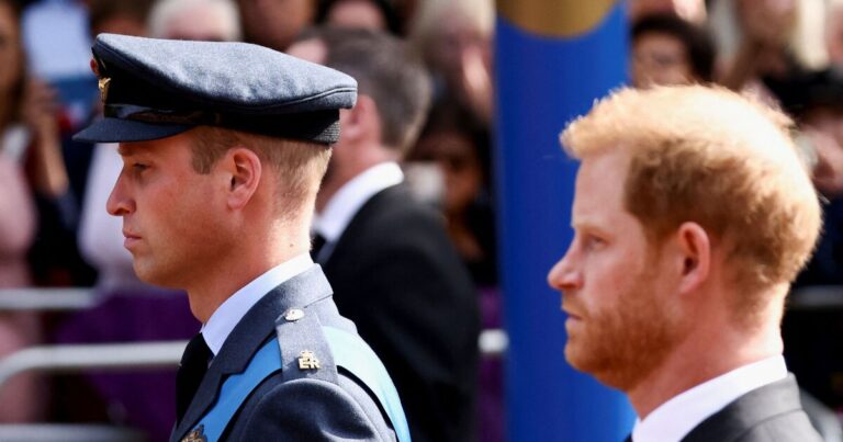 Prince William and Prince Harry Face Renewed Scrutiny Over Their Contrasting Royal Roles