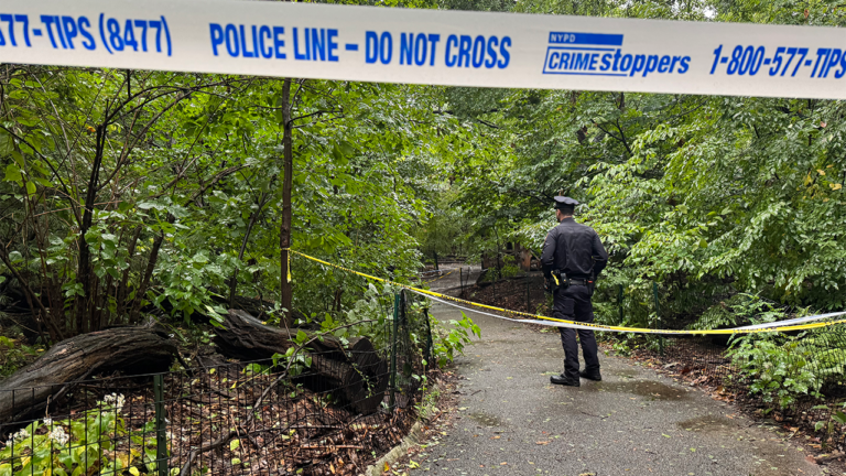 Woman Found Dead in Central Park With Unexplained Trauma as NYPD Investigates
