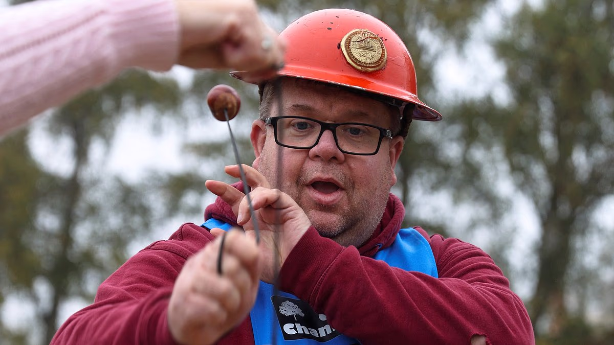 World Conker Championships could be called off after weather hits crop