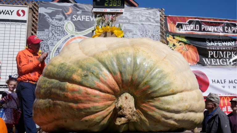 Giant Pumpkin Rocky Helps Champion Grower Make a California Comeback
