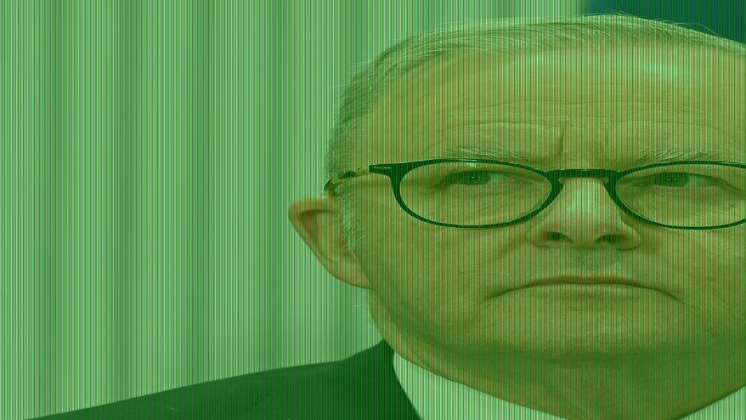Albanese govt wants to cash in on history we can never get back: PVO