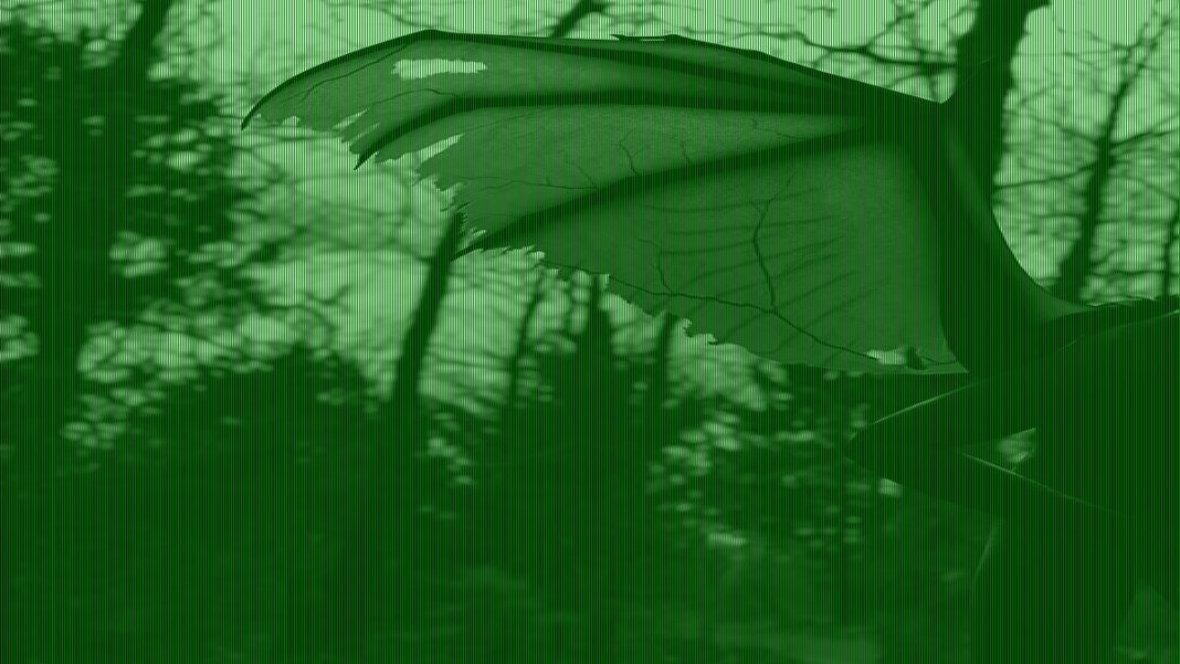 America's 'most haunted road' continues to spook travelers
