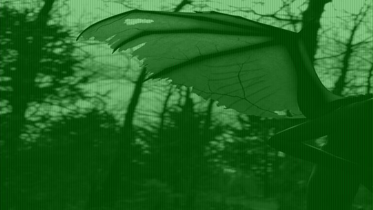 Why America’s ‘Most Haunted Road’ Still Terrifies Travelers