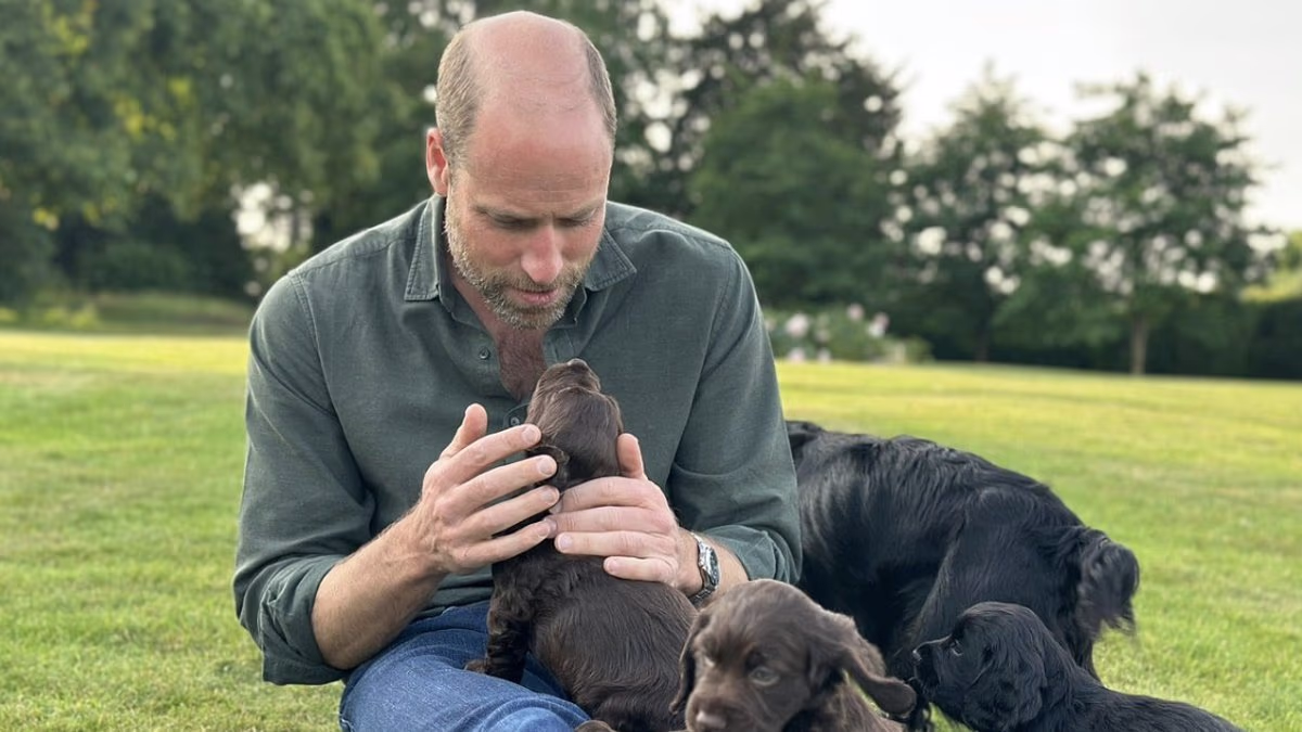Animal rights group Peta is reported to charities regulator