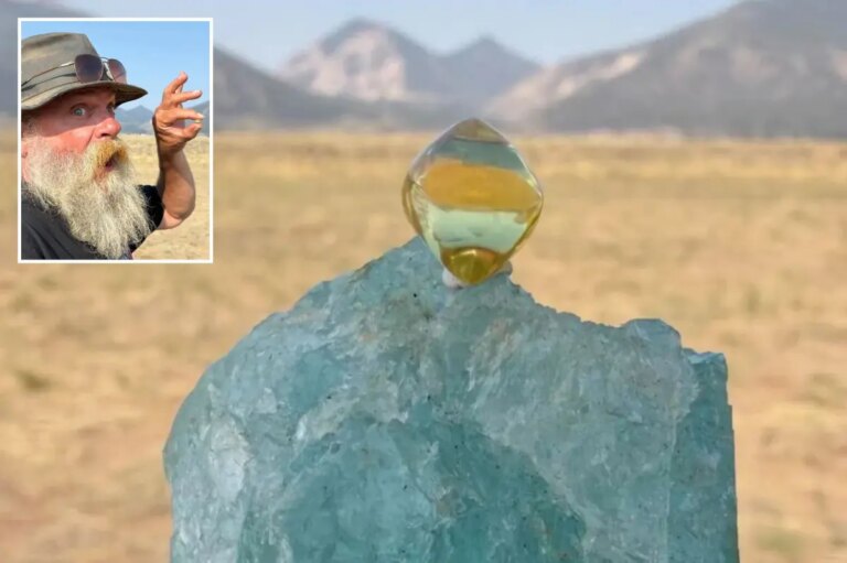 Arkansas Hunter Finds 6-Carat American Dream Diamond Worth $1M