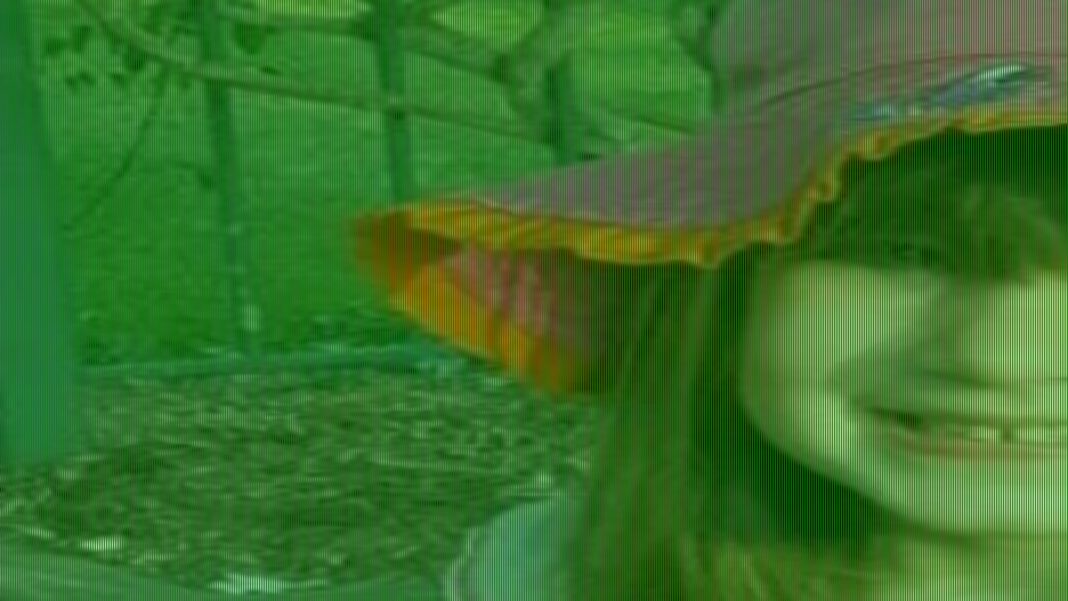 Authorities aware girl was at risk years before her tragic death