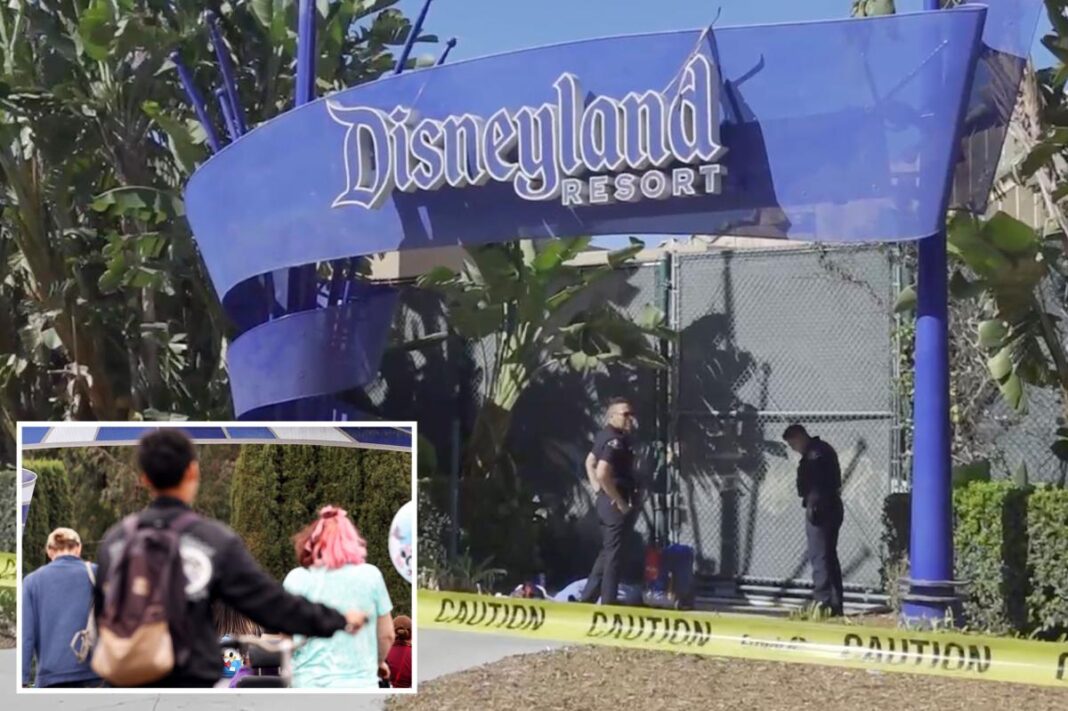 Body found near Disneyland Resort sign in Anaheim, police investigating