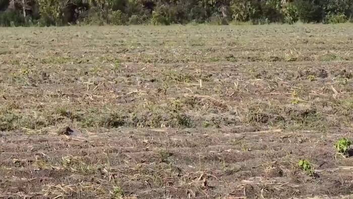 Bunnell ‘Project Butterfly’ landfill proposal scrapped amid local pushback